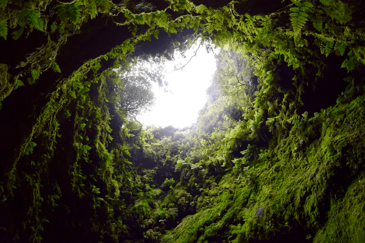 Algar do Carvão: entrando em um vulcão