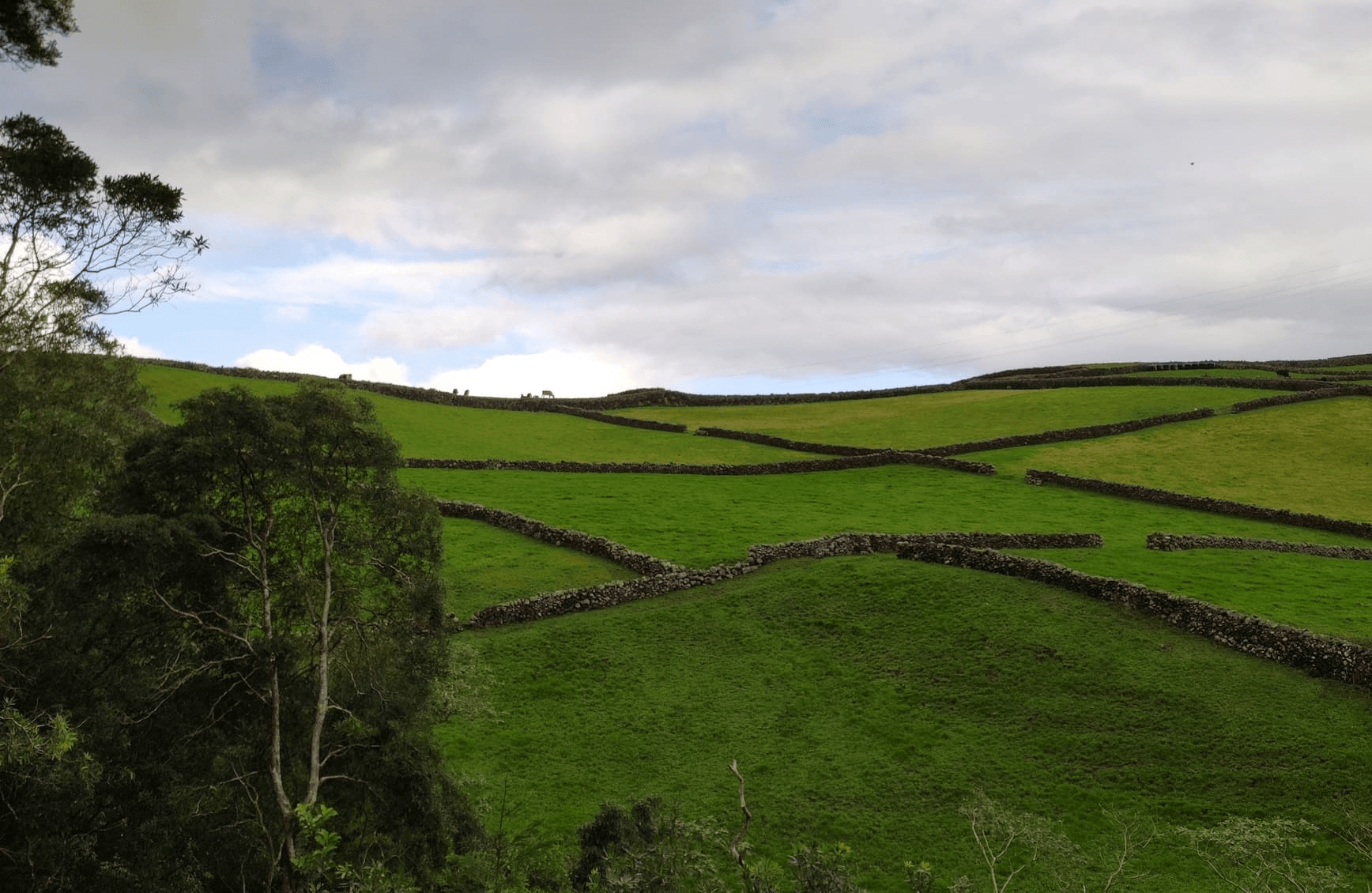 Interior da Ilha Terceira, Açores