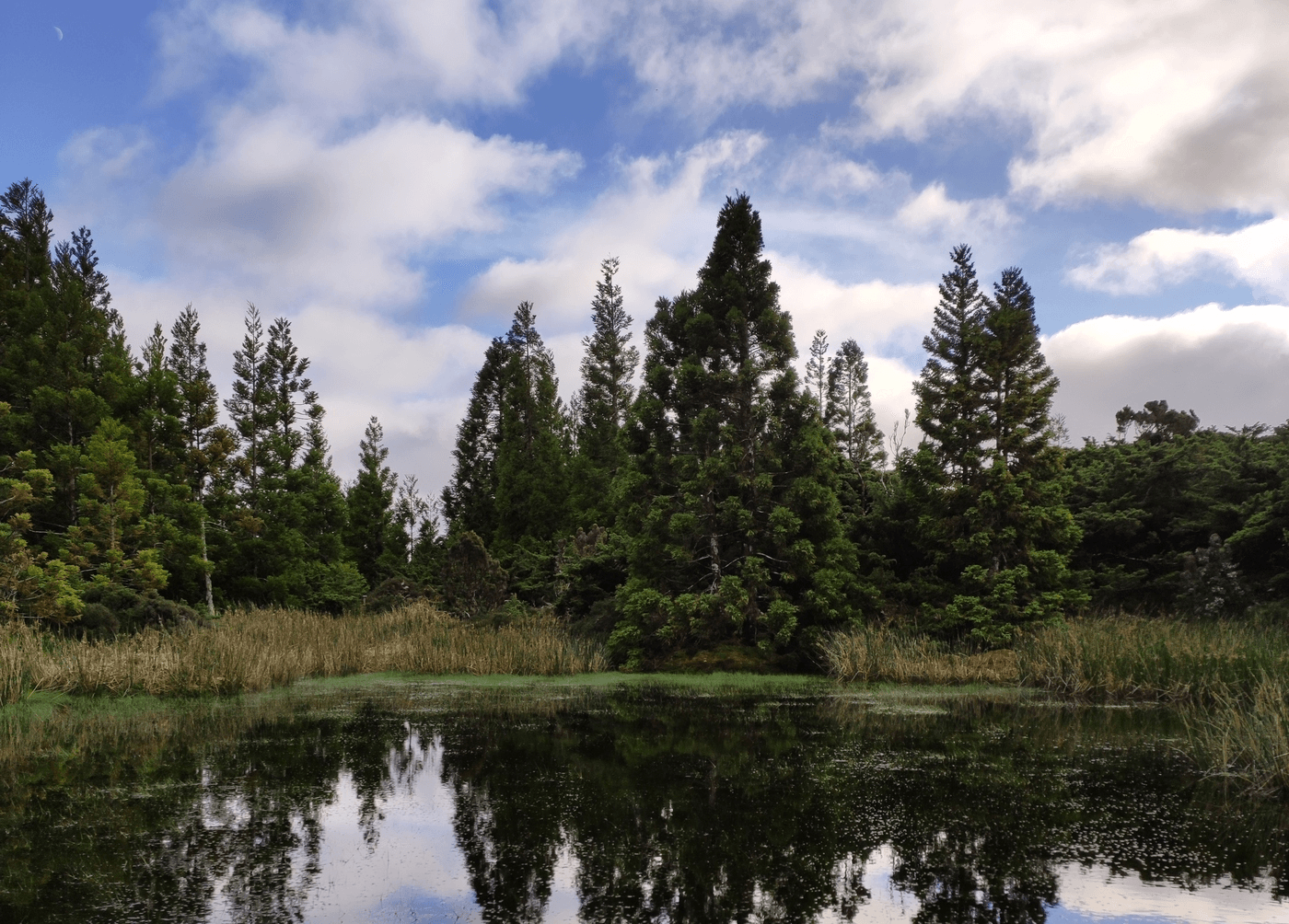 Natureza da Ilha Terceira, Açores