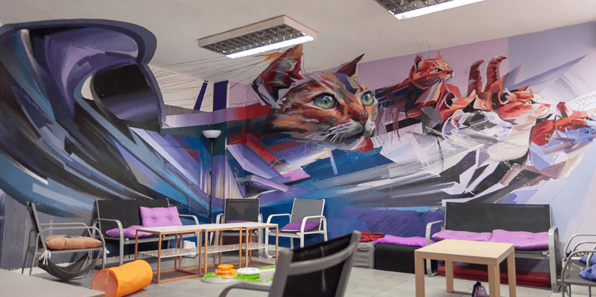 Tome um café e adote um gato na La Gatoteca